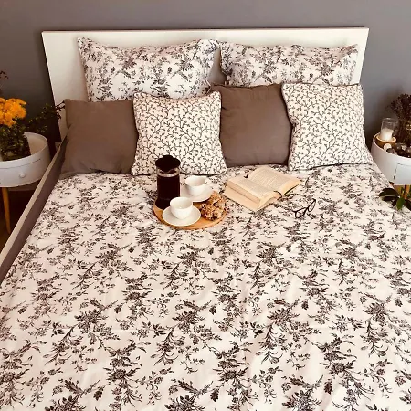 Nova Motlava Old Town *