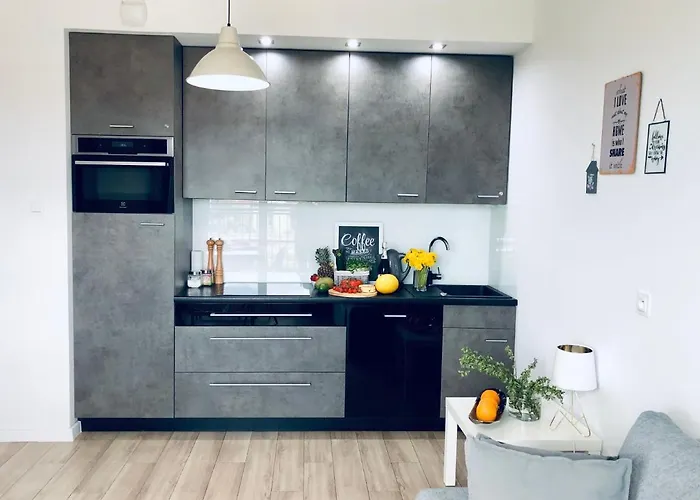 Nova Motlava Old Town 公寓 格但斯克